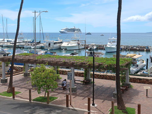 Lahaina Maui Cruise Port